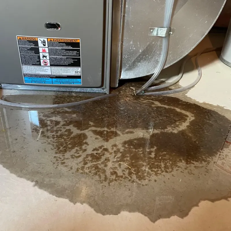 Appliance Leak Cleanup in Washtenaw County, MI