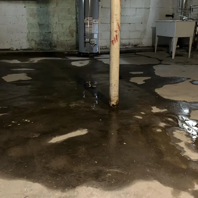 Emergency Water Extraction And Removal in Washtenaw County, MI